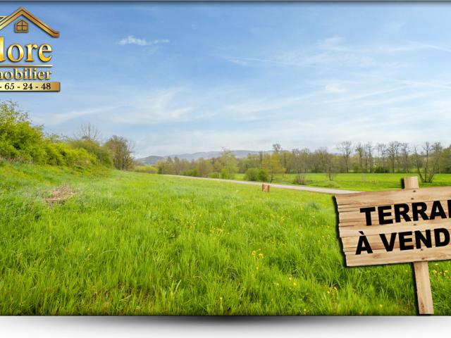 TERRAIN CONSTRUCTIBLE