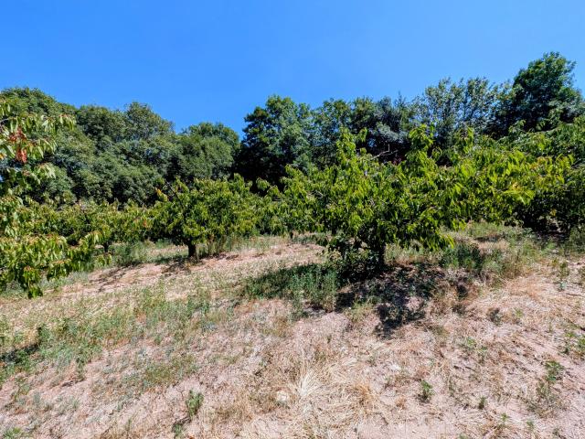 Terrain constructible