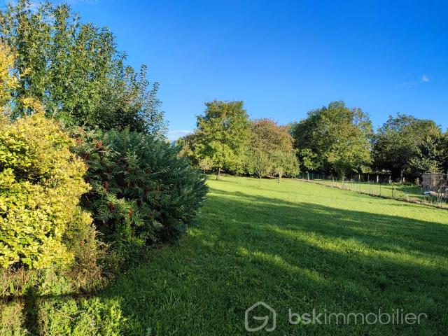 Terrain constructible