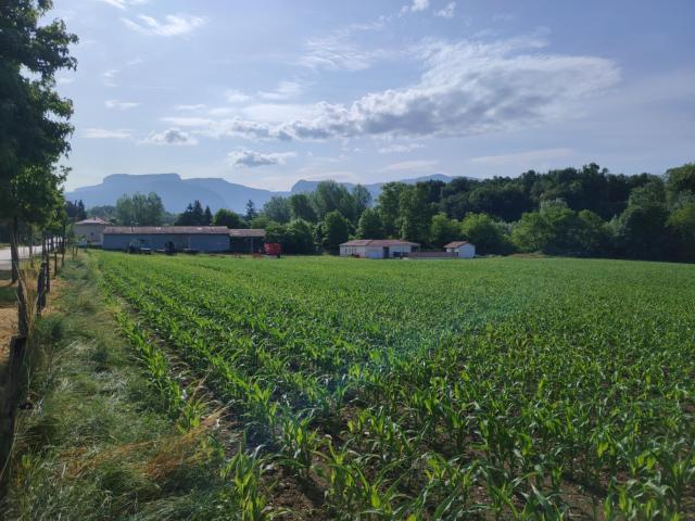 Terrain constructible