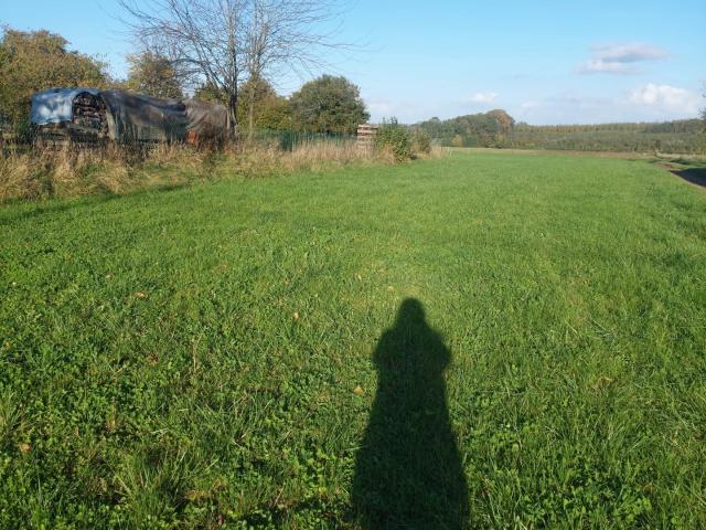 terrain constructible 1594 m²