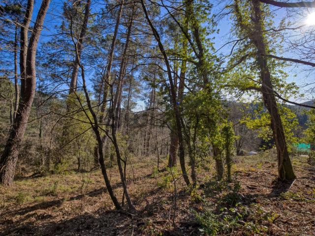 Terrain Constructible 1500m2