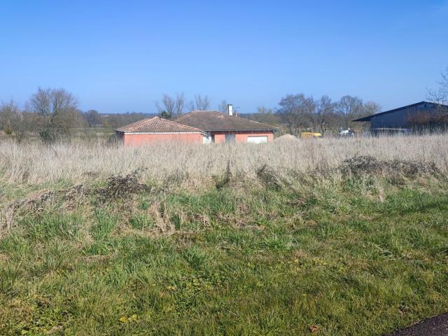 Terrain Constructible 1501 m2
