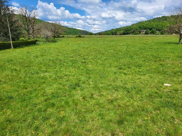 Terrain constructible