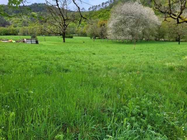 Terrain constructible