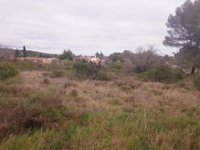 Terrain constructible