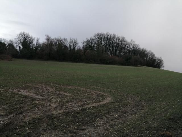 Terrain constructible