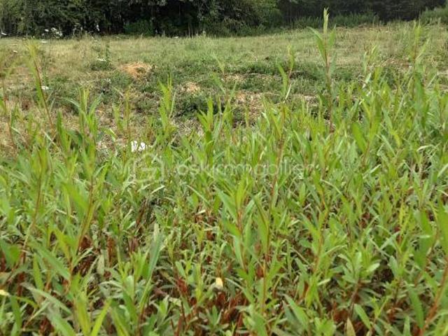 Terrain constructible