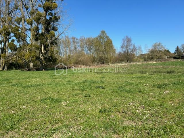 Terrain constructible