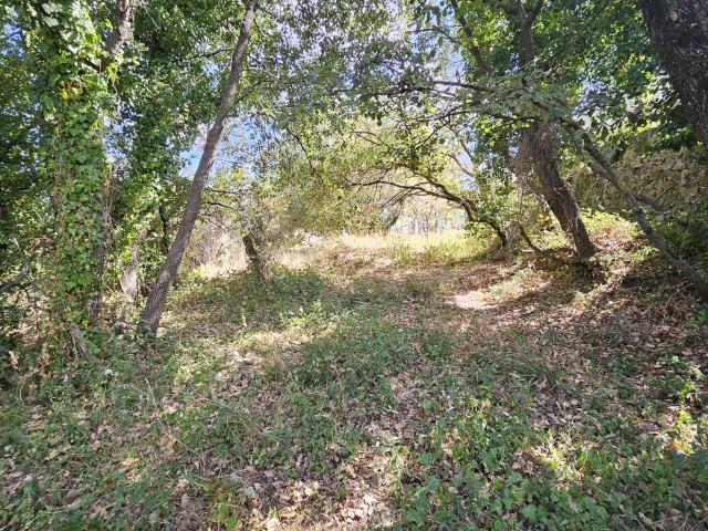 TERRAIN CONSTRUCTIBLE 2955m2 GATTIERES