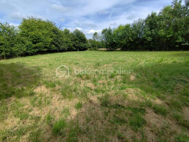 Terrain constructible