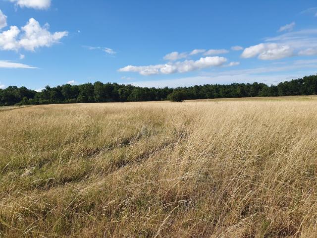 Terrain constructible 300m²