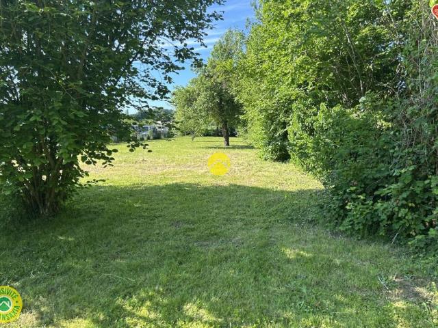 terrain constructible