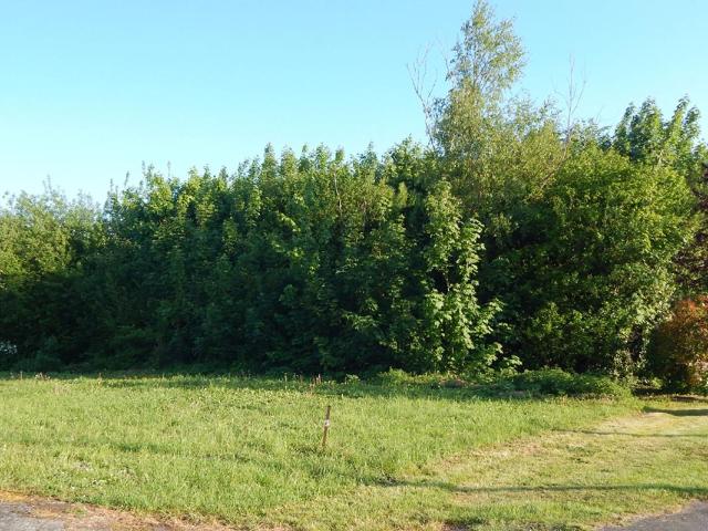 Terrain constructible