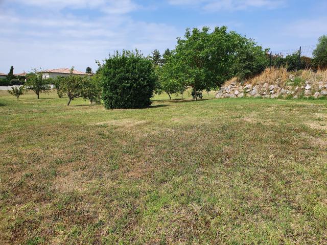 Terrain constructible