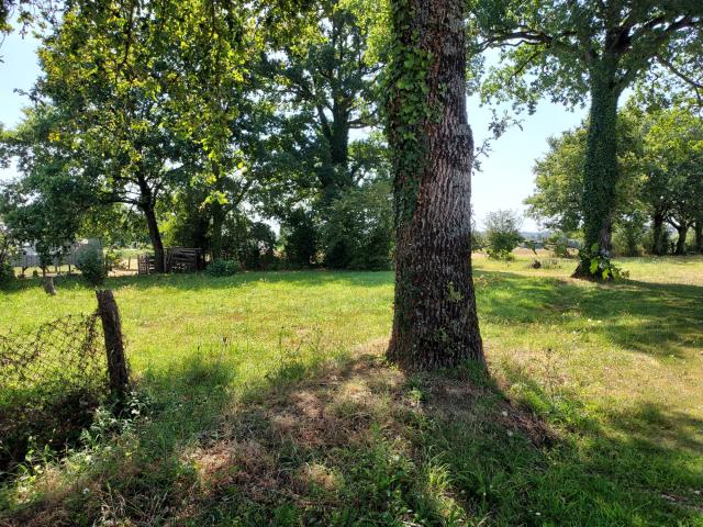 terrain constructible