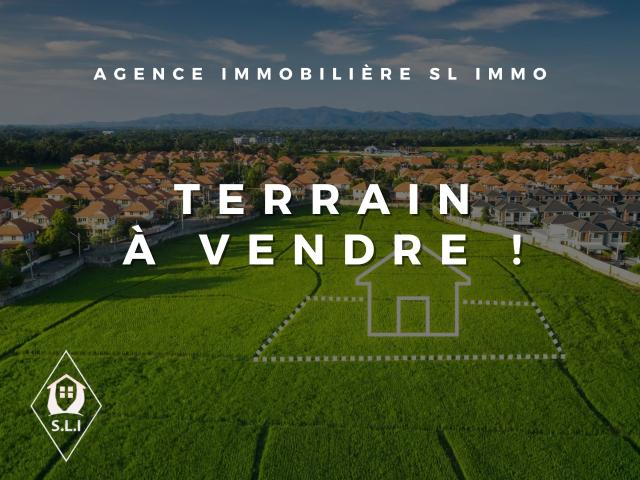 Terrain constructible