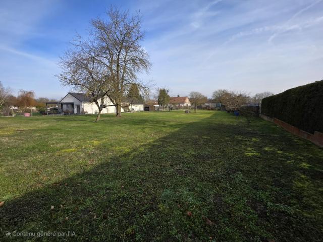 Terrain constructible