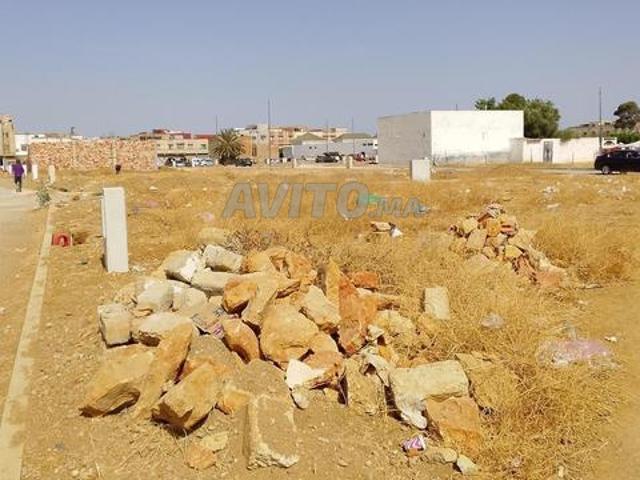 Terrain constructible