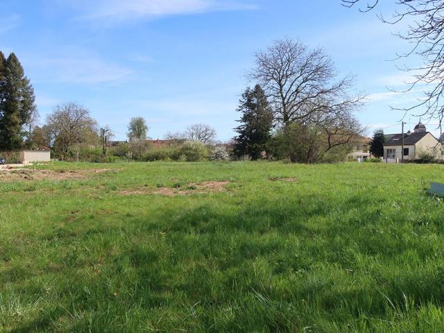 Terrain constructible