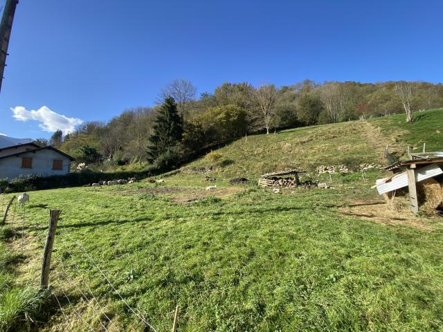 Terrain constructible