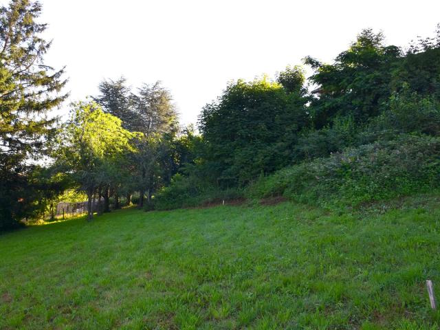 Terrain constructible
