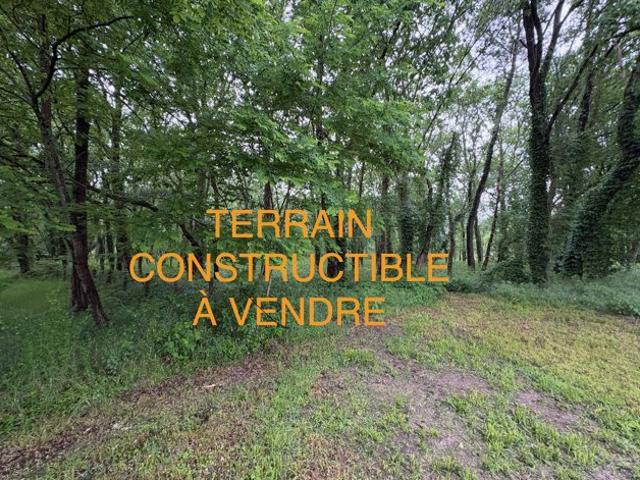 Terrain constructible