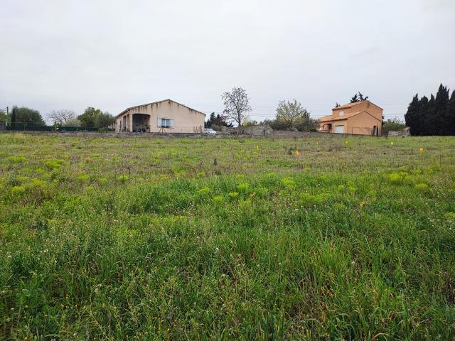 Terrain constructible