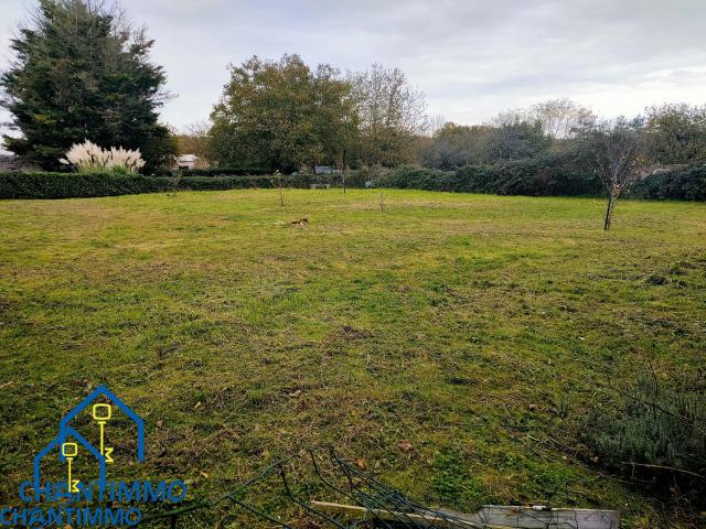 Terrain constructible