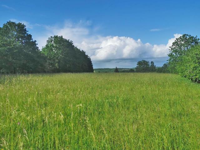 Terrain constructible 5580 m2 La Cassagne
