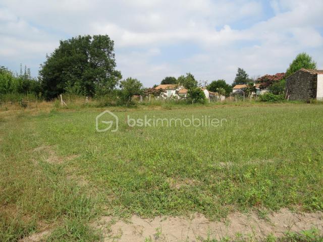 Terrain constructible