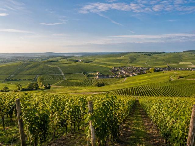 Terrain constructible 598m2