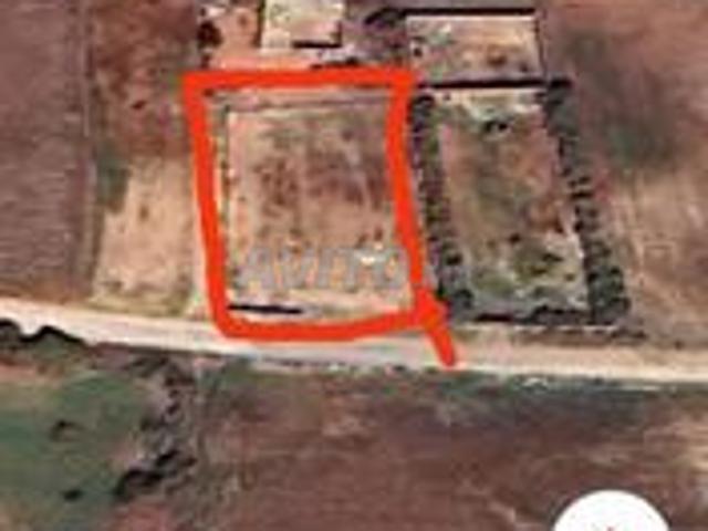 Terrain constructible