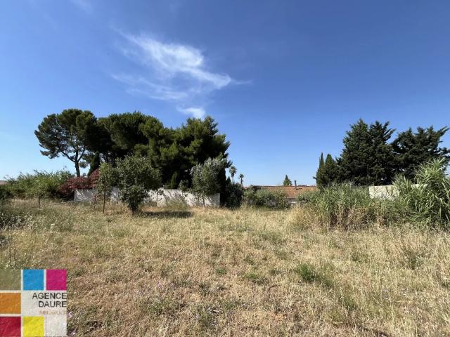 Terrain constructible