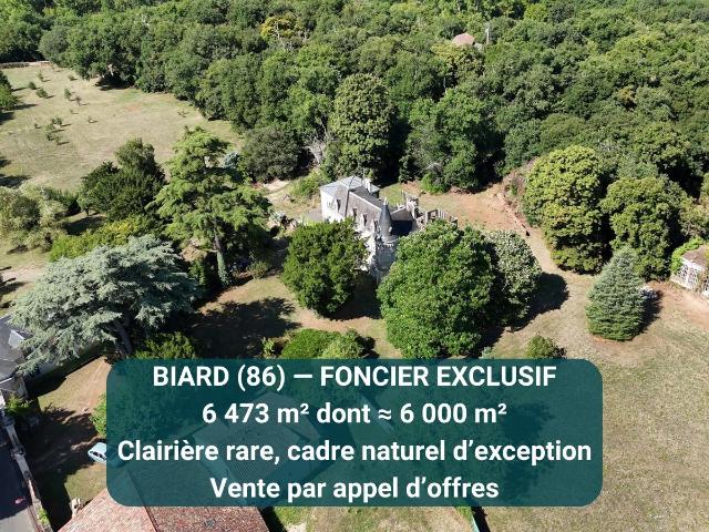 Terrain constructible