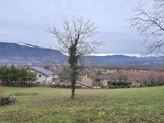 Terrain constructible