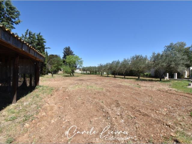 Terrain constructible 659 m²