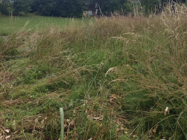 Terrain constructible