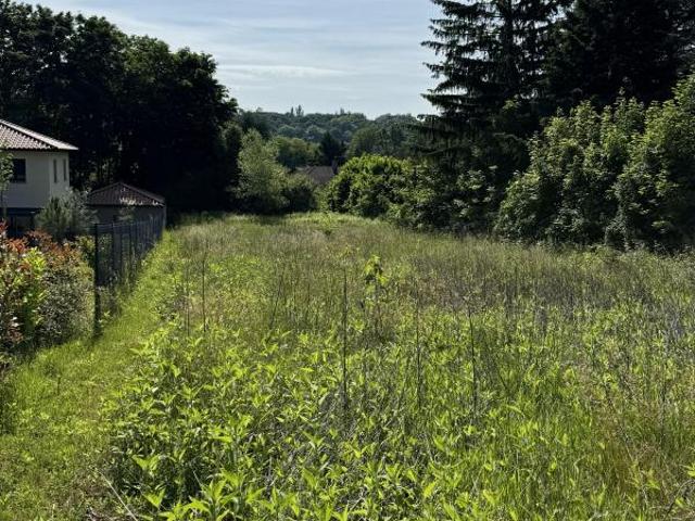 Terrain constructible