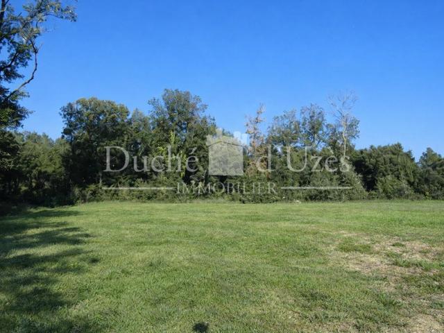 Terrain constructible