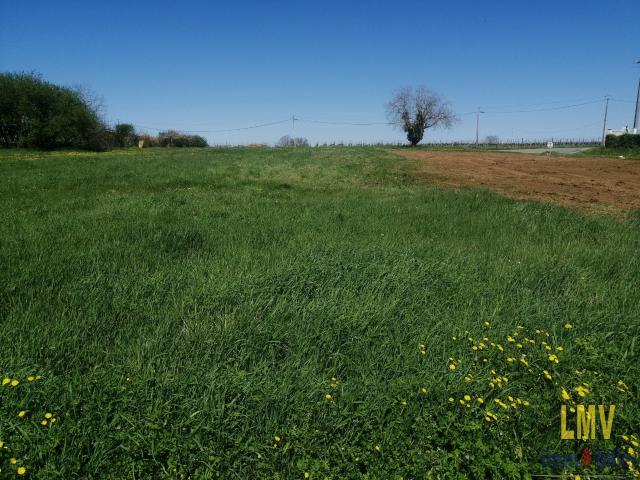 Terrain constructible