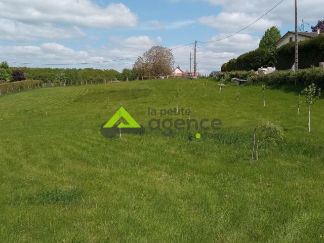 Terrain constructible