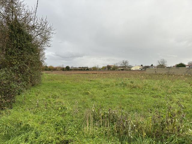 Terrain constructible