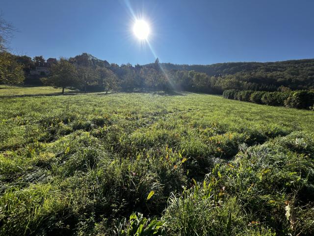 Terrain constructible