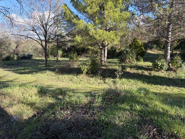 Terrain constructible