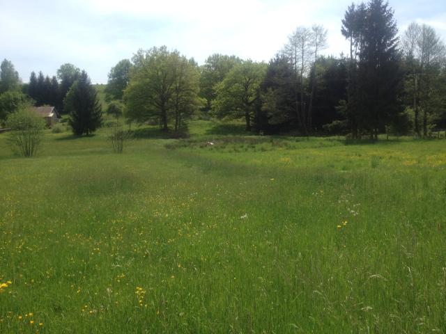 Terrain constructible 800 m2 à Phaffans