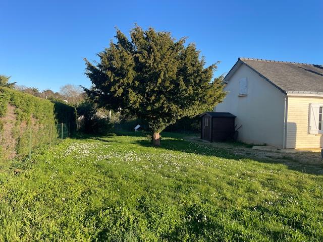 Terrain constructible