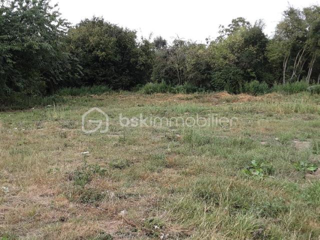 Terrain constructible