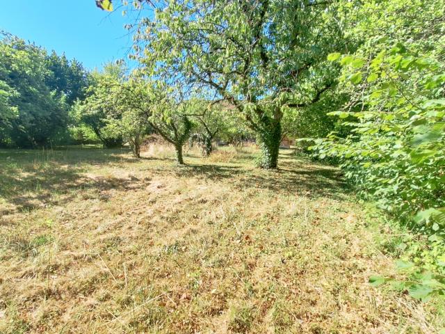 Terrain constructible