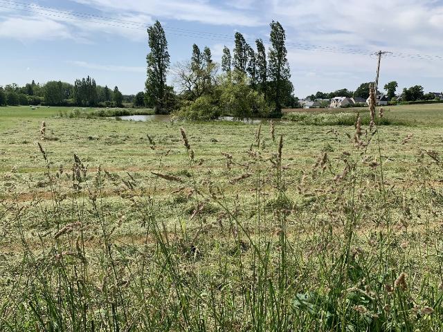 TERRAIN CONSTRUCTIBLE CENTRE BOURG GUIGNEN
